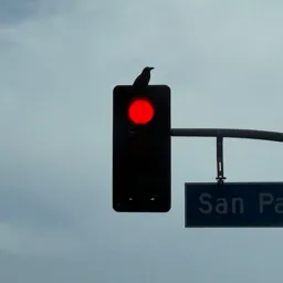 18EF91E2-E712-421E-B5CE-FEA7C0AB3D0B .webp